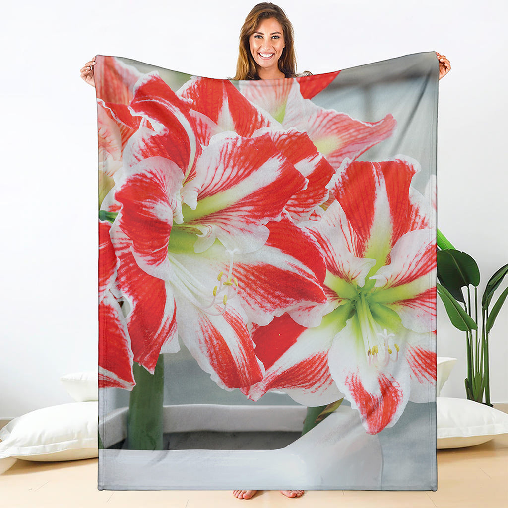 Red And White Amaryllis Print Blanket