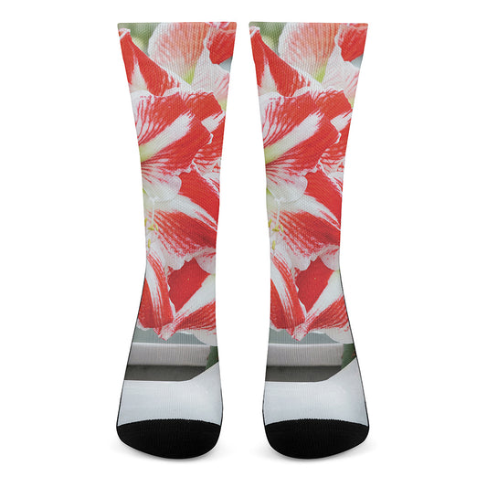 Red And White Amaryllis Print Crew Socks