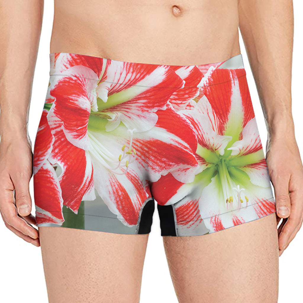 Red And White Amaryllis Print Men's Boxer Briefs