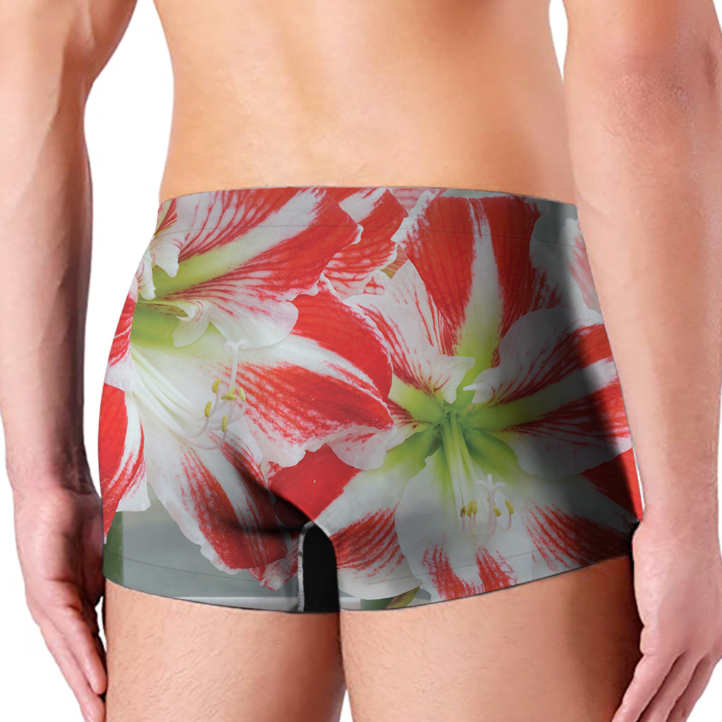 Red And White Amaryllis Print Men's Boxer Briefs