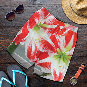 Red And White Amaryllis Print Men's Shorts