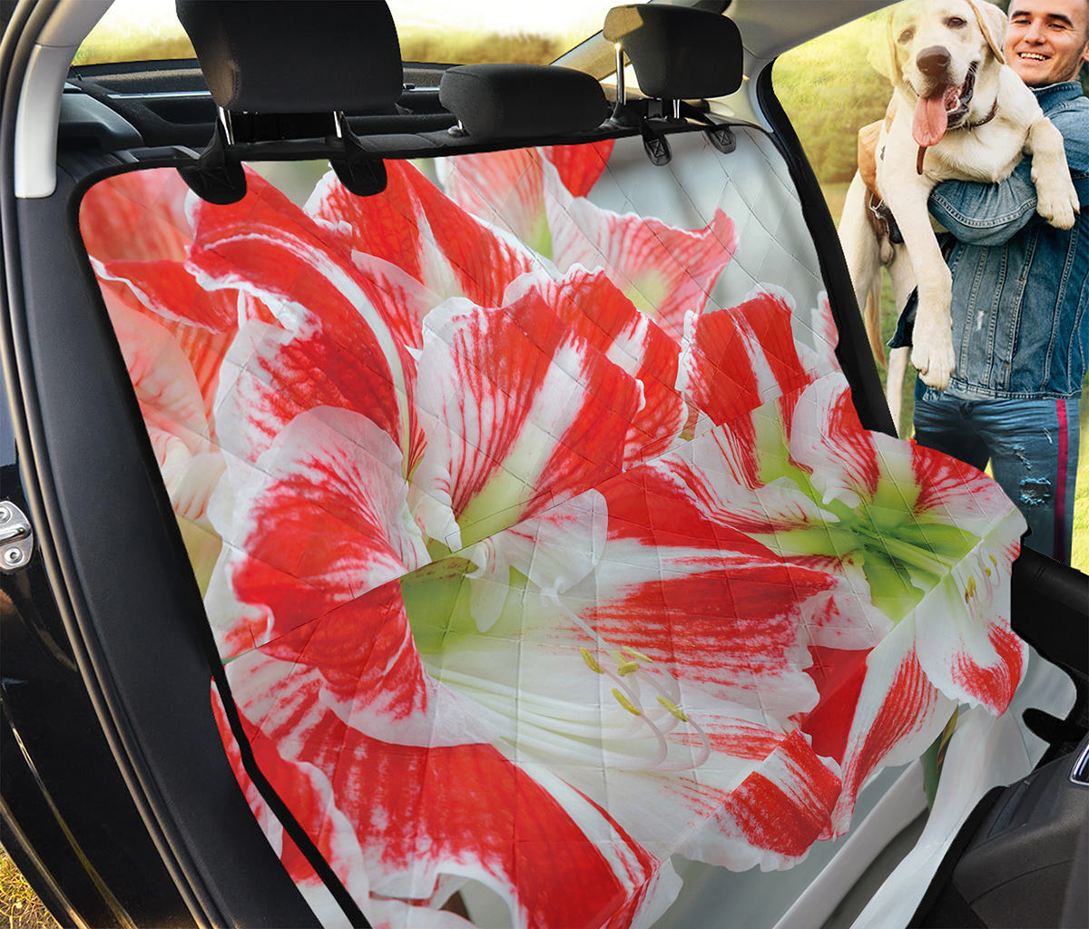 Red And White Amaryllis Print Pet Car Back Seat Cover