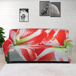 Red And White Amaryllis Print Sofa Cover