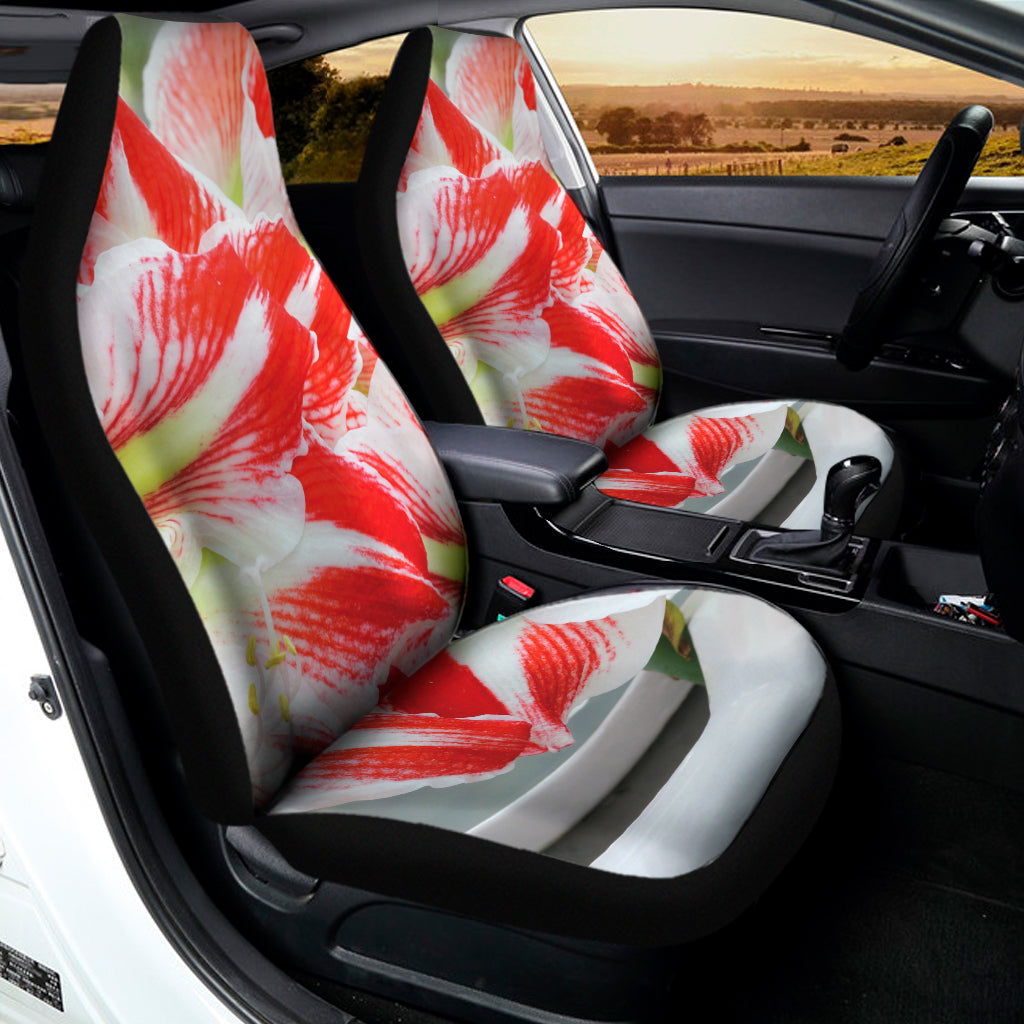 Red And White Amaryllis Print Universal Fit Car Seat Covers