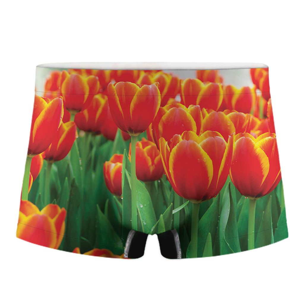 Red And Yellow Tulip Print Men's Boxer Briefs