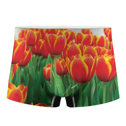 Red And Yellow Tulip Print Men's Boxer Briefs