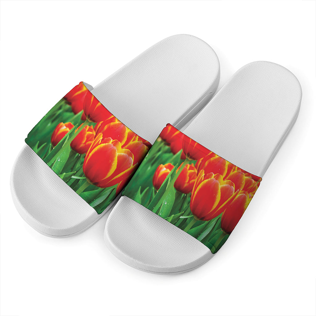 Red And Yellow Tulip Print White Slide Sandals