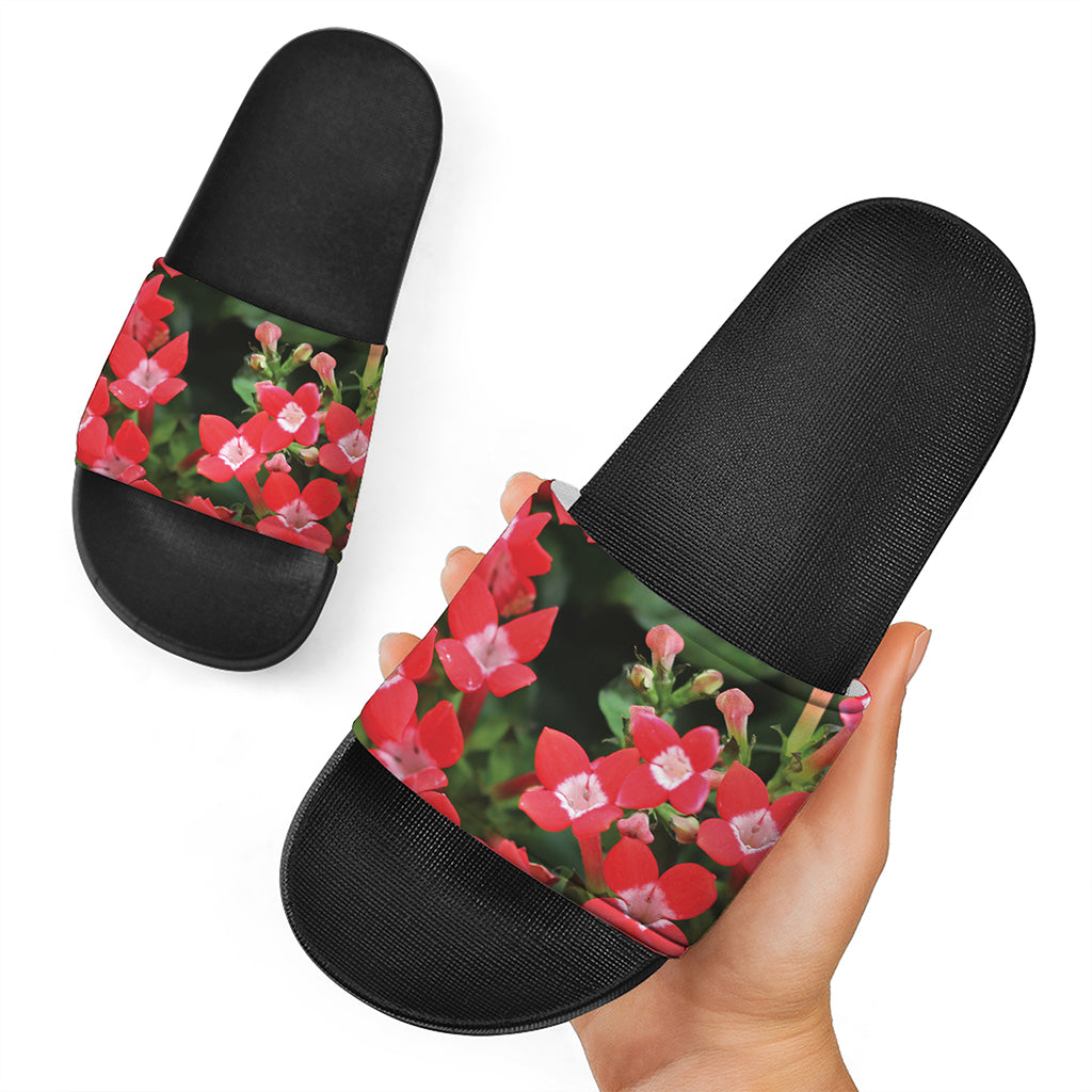 Red Bouvardia Print Black Slide Sandals