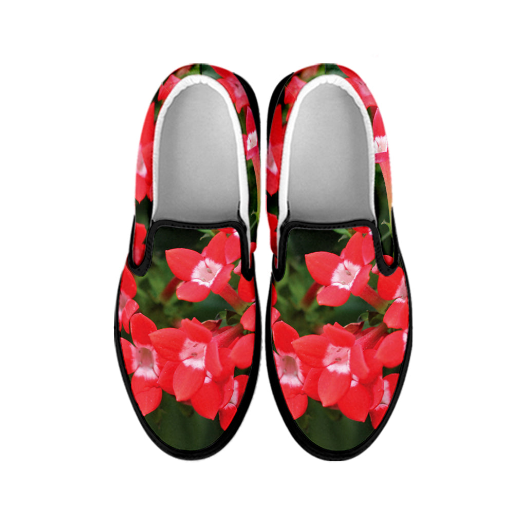 Red Bouvardia Print Black Slip On Shoes