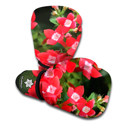 Red Bouvardia Print Boxing Gloves