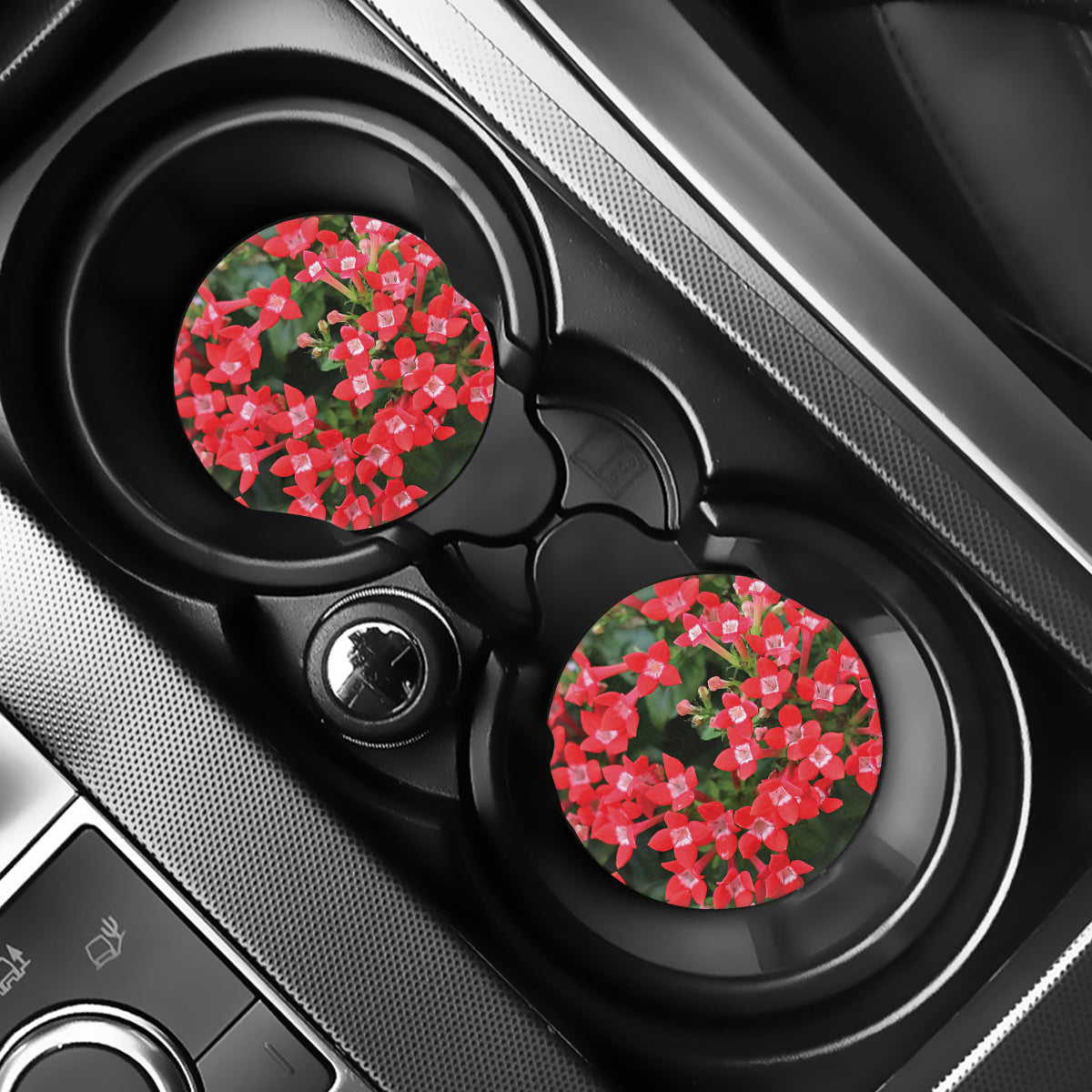Red Bouvardia Print Car Coasters