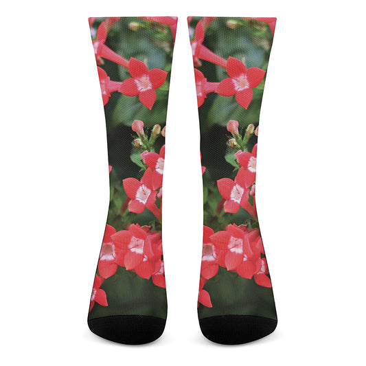 Red Bouvardia Print Crew Socks