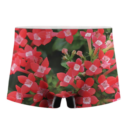 Red Bouvardia Print Men's Boxer Briefs