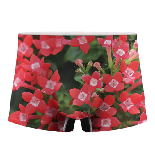 Red Bouvardia Print Men's Boxer Briefs