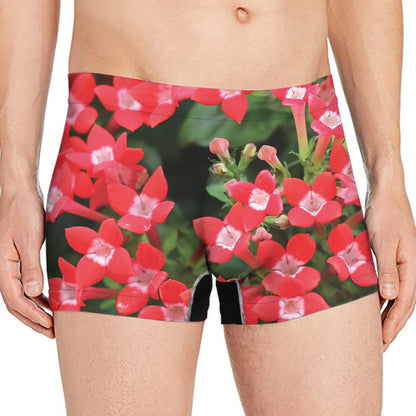 Red Bouvardia Print Men's Boxer Briefs