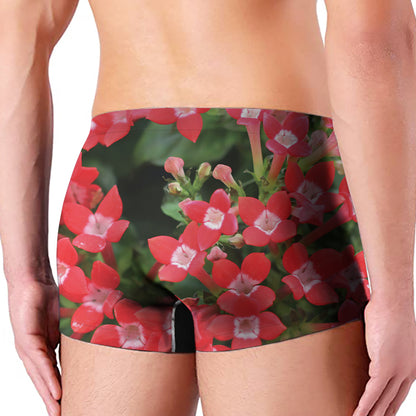 Red Bouvardia Print Men's Boxer Briefs