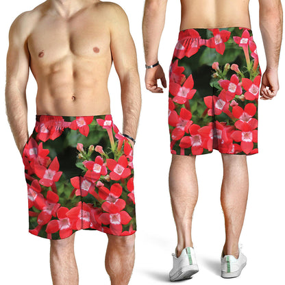 Red Bouvardia Print Men's Shorts