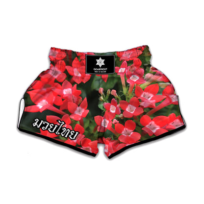 Red Bouvardia Print Muay Thai Boxing Shorts
