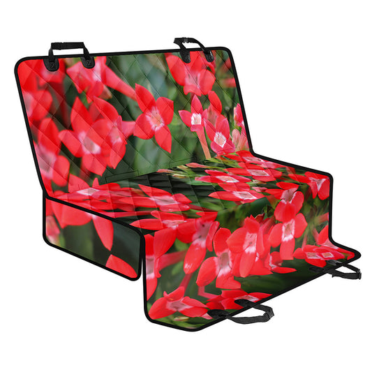 Red Bouvardia Print Pet Car Back Seat Cover