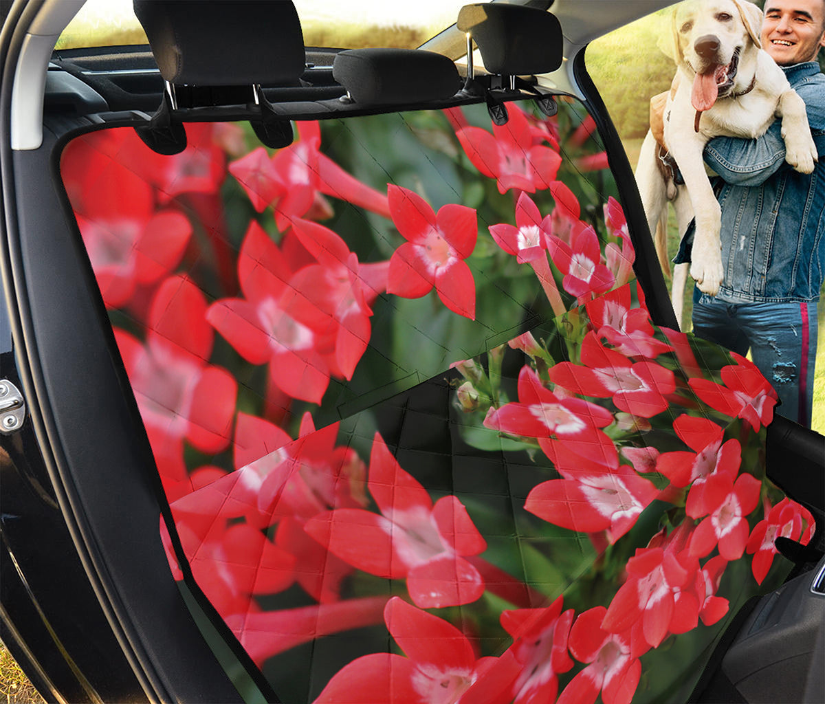 Red Bouvardia Print Pet Car Back Seat Cover