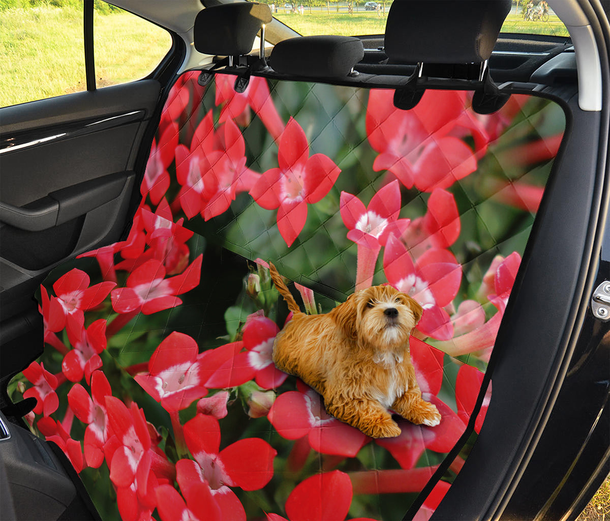 Red Bouvardia Print Pet Car Back Seat Cover