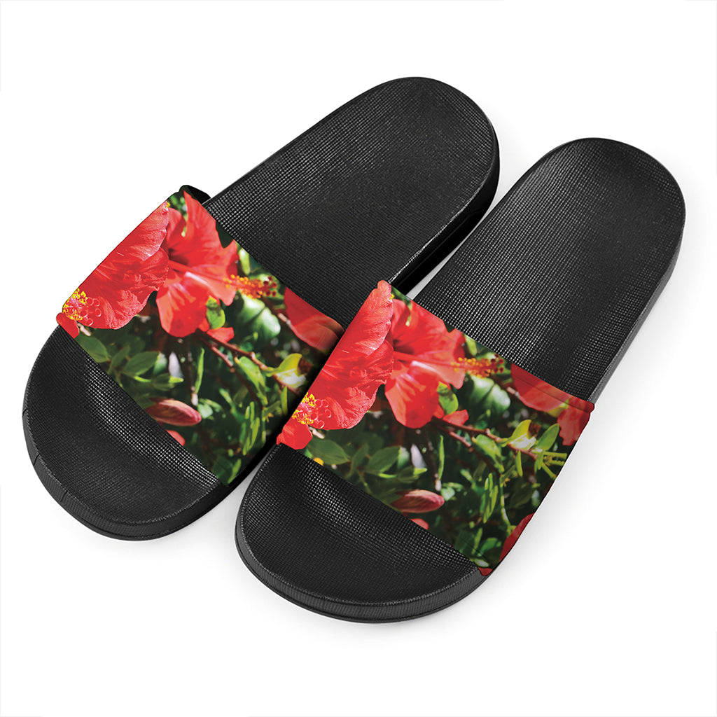 Red Hibiscus Flowers Print Black Slide Sandals