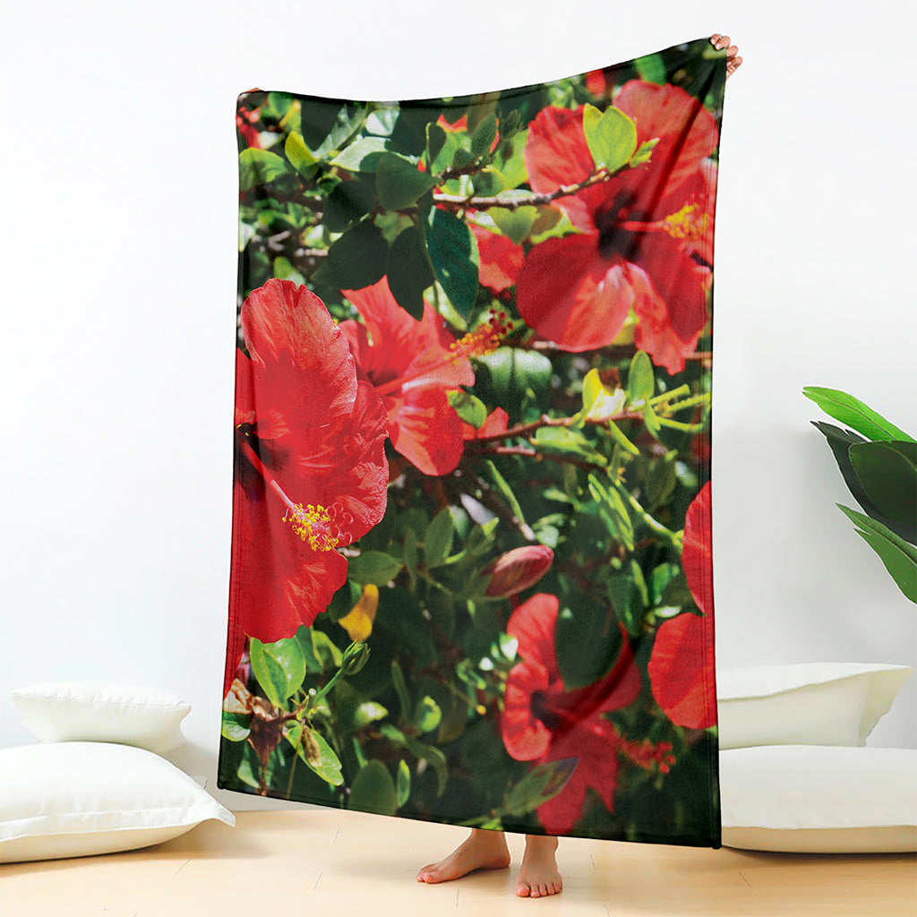 Red Hibiscus Flowers Print Blanket