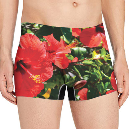 Red Hibiscus Flowers Print Men's Boxer Briefs