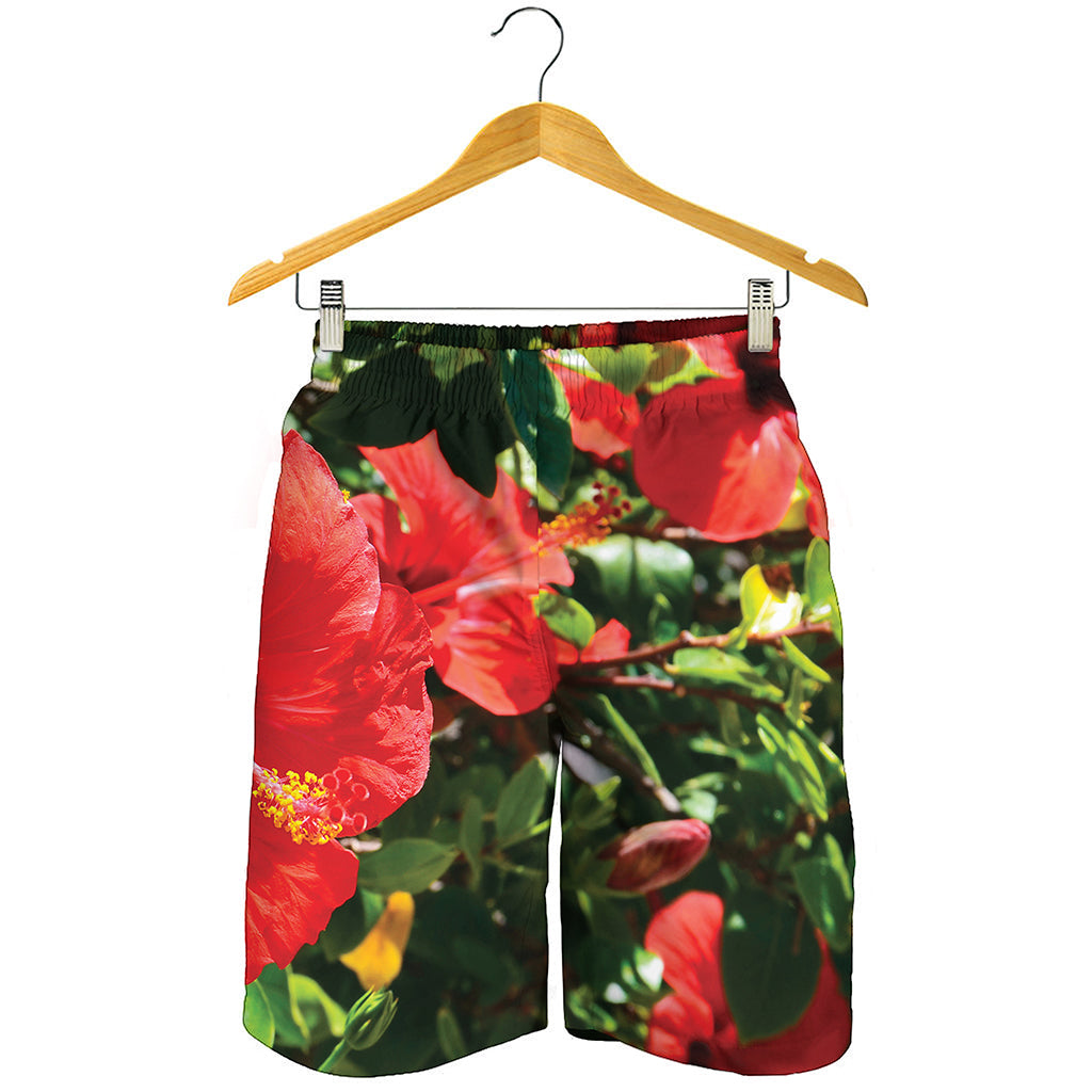 Red Hibiscus Flowers Print Men's Shorts