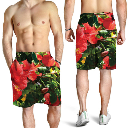 Red Hibiscus Flowers Print Men's Shorts