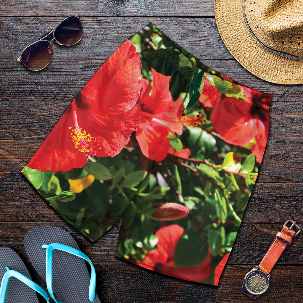 Red Hibiscus Flowers Print Men's Shorts
