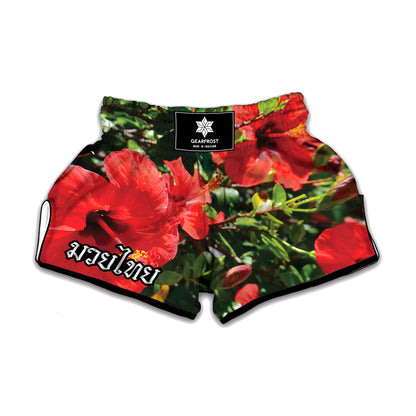 Red Hibiscus Flowers Print Muay Thai Boxing Shorts