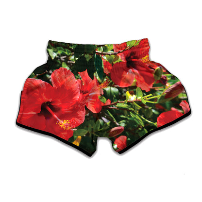 Red Hibiscus Flowers Print Muay Thai Boxing Shorts
