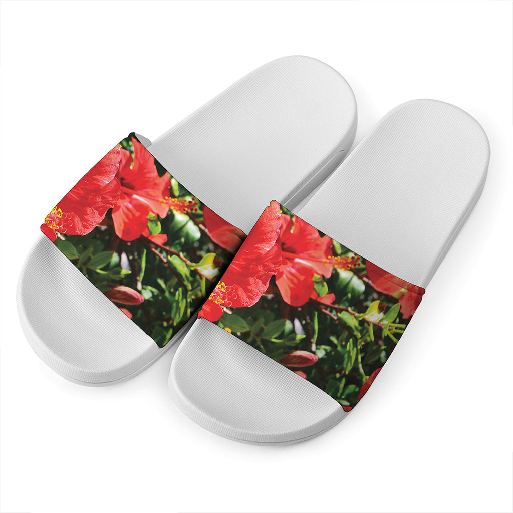 Red Hibiscus Flowers Print White Slide Sandals
