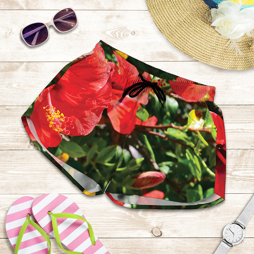 Red Hibiscus Flowers Print Women's Shorts