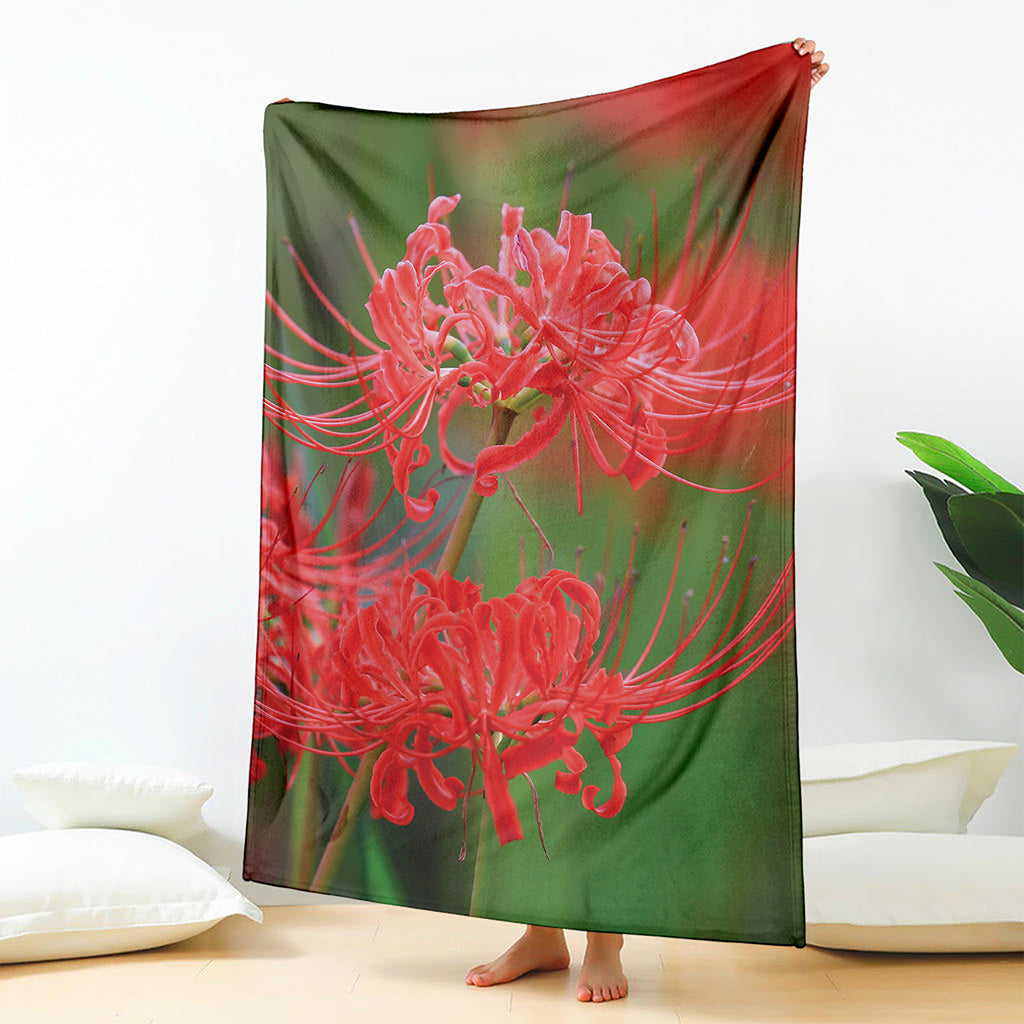 Red Japanese Amaryllis Print Blanket