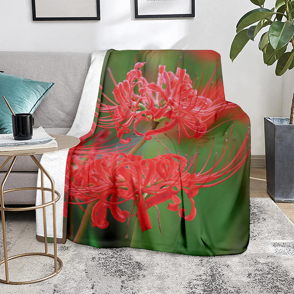 Red Japanese Amaryllis Print Blanket