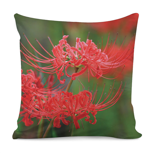 Red Japanese Amaryllis Print Pillow Cover