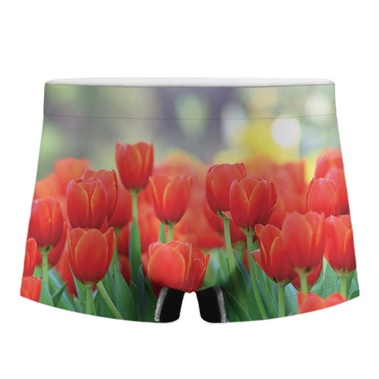 Red Tulip Print Men's Boxer Briefs
