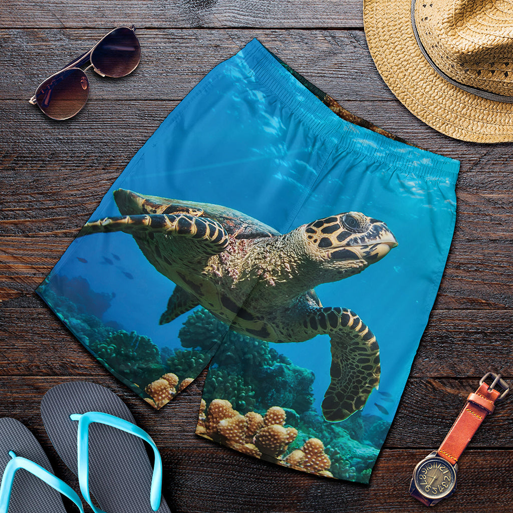 Sea Turtle Underwater Print Men's Shorts