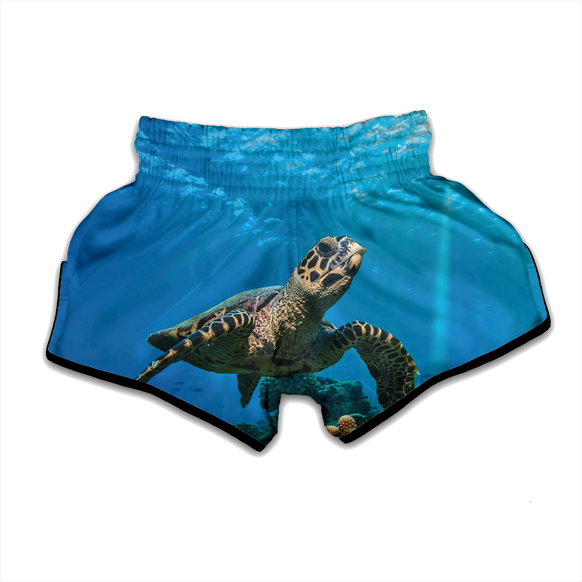 Sea Turtle Underwater Print Muay Thai Boxing Shorts