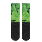 Shamrock Clover St. Patrick's Day Print Crew Socks
