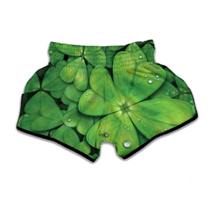 Shamrock Clover St. Patrick's Day Print Muay Thai Boxing Shorts