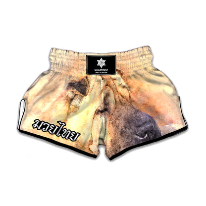 Shar Pei Portrait Print Muay Thai Boxing Shorts