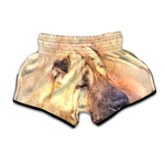 Shar Pei Portrait Print Muay Thai Boxing Shorts