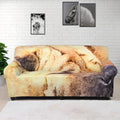 Shar Pei Portrait Print Sofa Cover