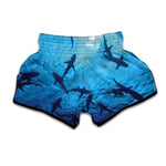 Shark Underwear Print Muay Thai Boxing Shorts