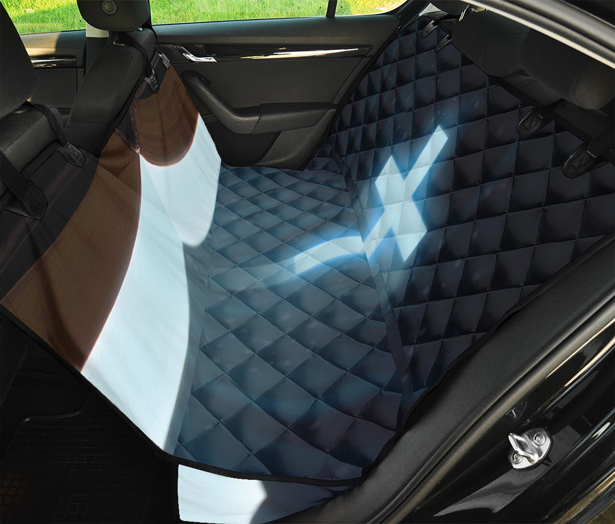 Shining Holy Bible Print Pet Car Back Seat Cover