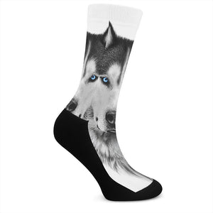 Siberian Husky Portrait Print Crew Socks