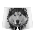 Siberian Husky Portrait Print Men's Boxer Briefs